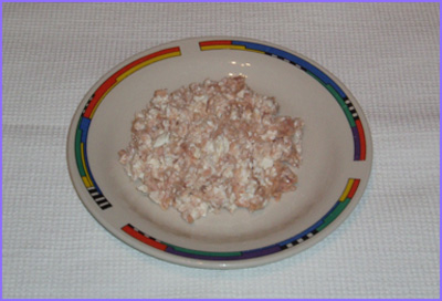 ketogenic diet - fresh cheese with tuna