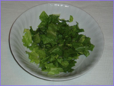 ketogenic diet - green salad